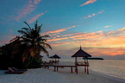 بانیان تری وابینفارو