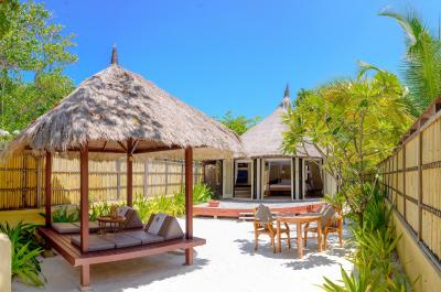 بانیان تری وابینفارو