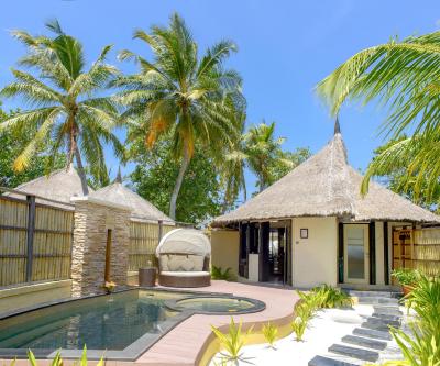 بانیان تری وابینفارو