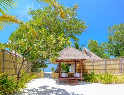 بانیان تری وابینفارو