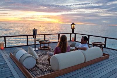 بانیان تری وابینفارو