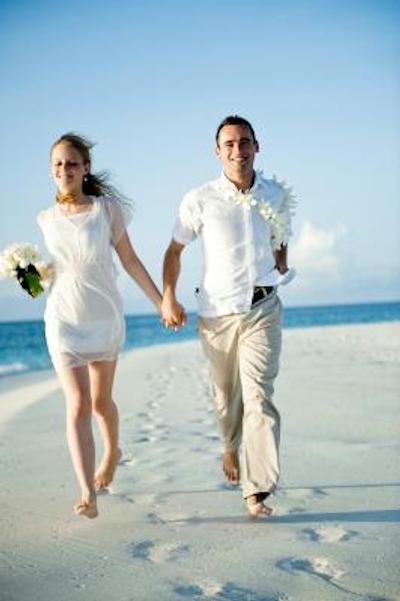 بانیان تری وابینفارو