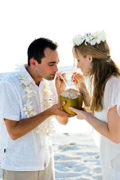 بانیان تری وابینفارو