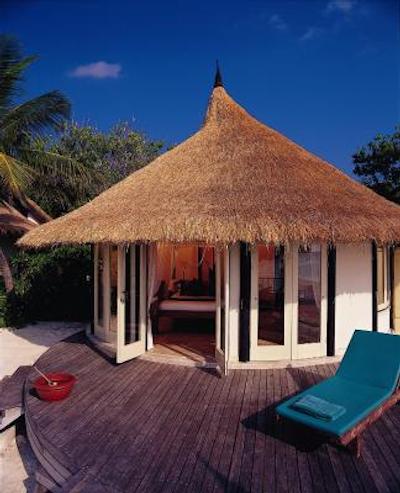 بانیان تری وابینفارو