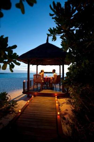 بانیان تری وابینفارو