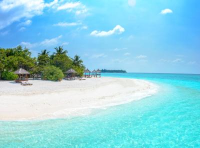 بانیان تری وابینفارو