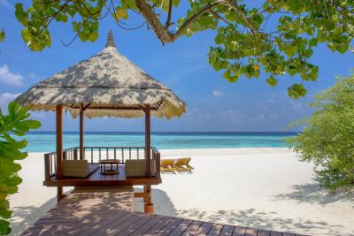 بانیان تری وابینفارو