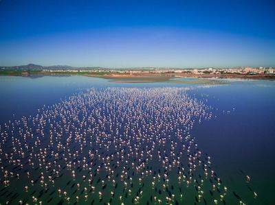 لز پالمیرز بیچ هتل