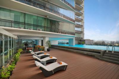 گولدن تولیپ پاسر بار