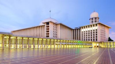 گولدن تولیپ پاسر بار