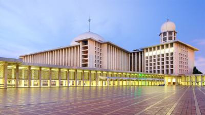 گولدن تولیپ پاسر بار
