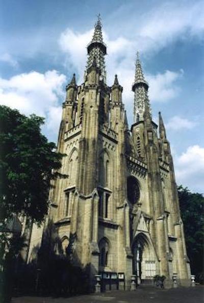 گولدن تولیپ پاسر بار