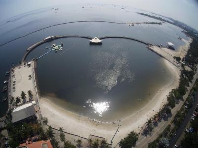 گولدن تولیپ پاسر بار