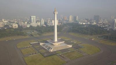 گولدن تولیپ پاسر بار