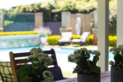 تریهوس اُن ماپل