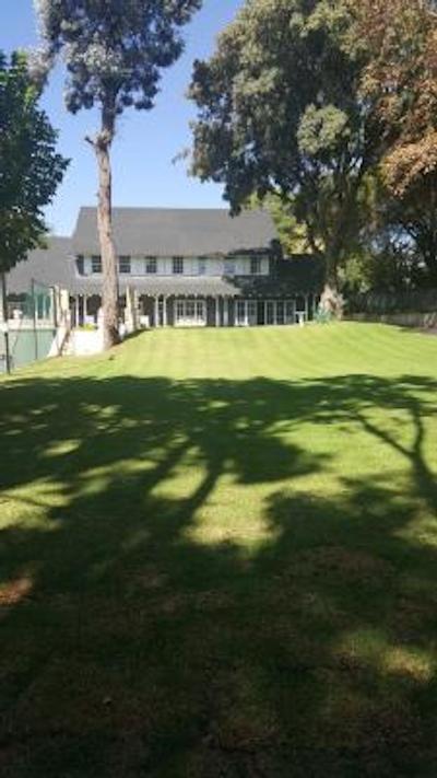 تریهوس اُن ماپل