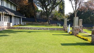 تریهوس اُن ماپل