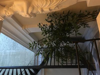 نوبل سوئیتس