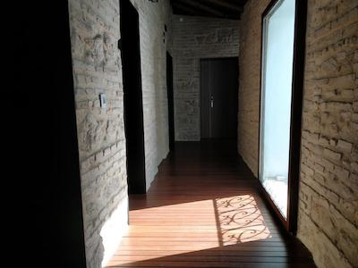 پاتیز دل اُرفبر