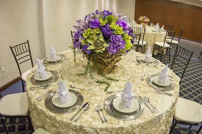 گاما تامپیکو