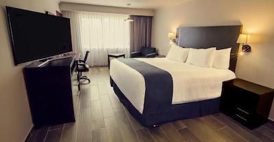 گاما تامپیکو