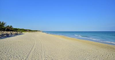 ملی لاز انتیلاز