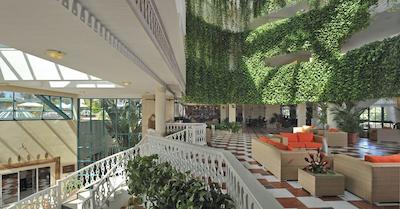 ملی لاز انتیلاز