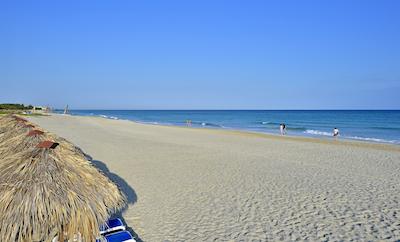 ملی لاز انتیلاز