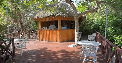 ملی لاز انتیلاز