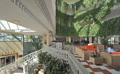 ملی لاز انتیلاز