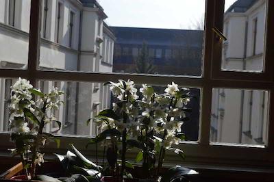 هتل تیرگارتن برلین میت