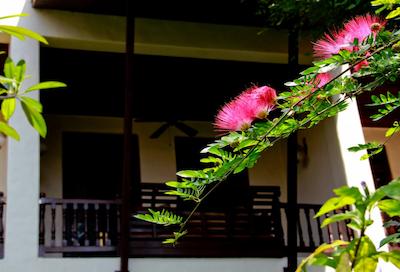 پوریپون بابای گراند بوتیک