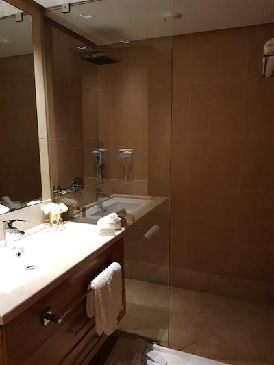 اُدیسی سنتر هتل