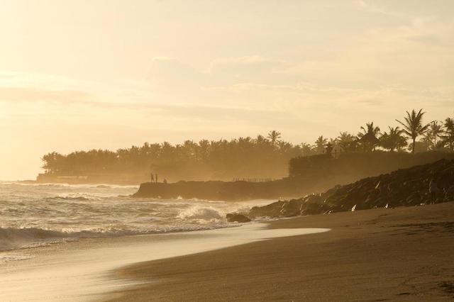 ایستین اشتا ریزرت کانگو