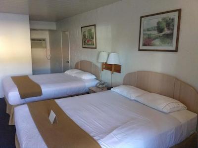 نایتز این پاج