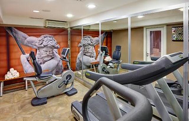 ایندیگو رما است گئورج