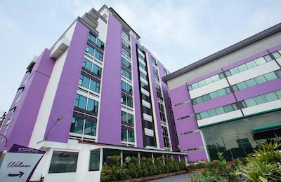 تی کی پالاس