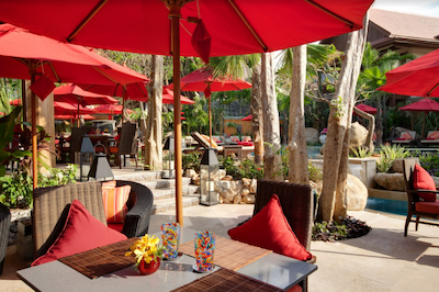 رکیز بوتیک ریزرت