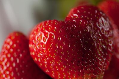 د کاپیتال-ماناجد بای اکسرهتلز