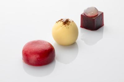 سینا برنینی بریستل