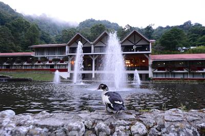 بامبیتو ریزرت