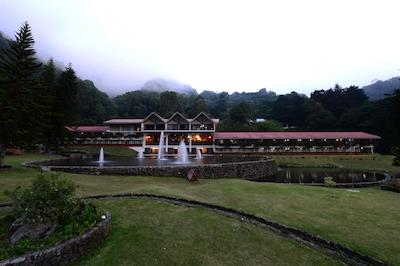 بامبیتو ریزرت