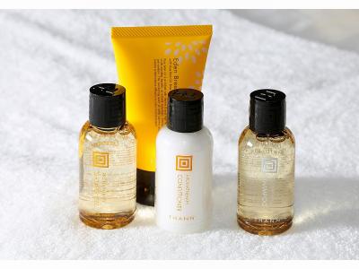 دیوا رینت هتل تکیو اریاک