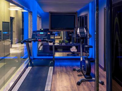 مرکور ریو د جانیرو اپادر