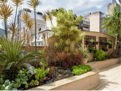 مرکور ریو د جانیرو اپادر