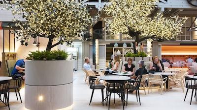 اُولو وولومولو