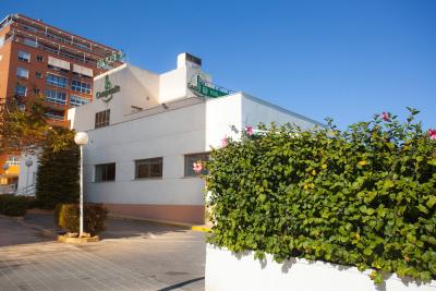 کمپانیل آلیکانت