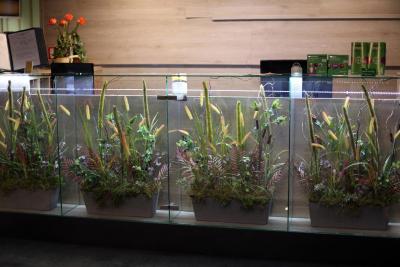 گورود اوتل آن لنینگرادسکی