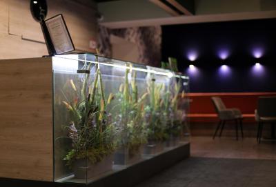 گورود اوتل آن لنینگرادسکی