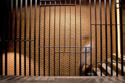 د هاوس پراتونام